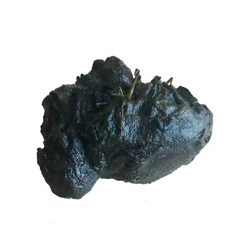 Nymphea stellata Bulb