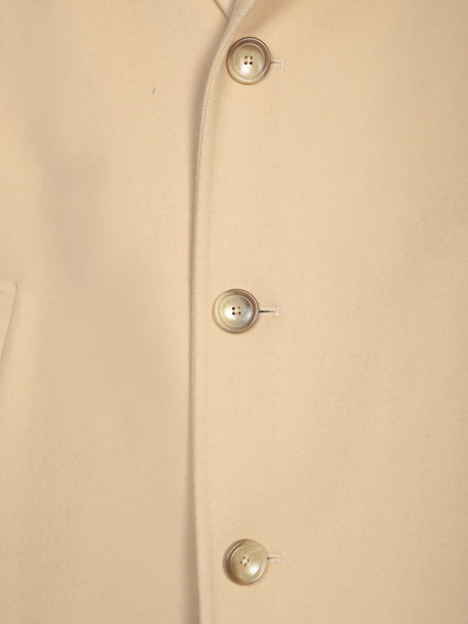 Wool and Cashmere Coat in Beige